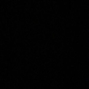 Meet your Posher, Zoe